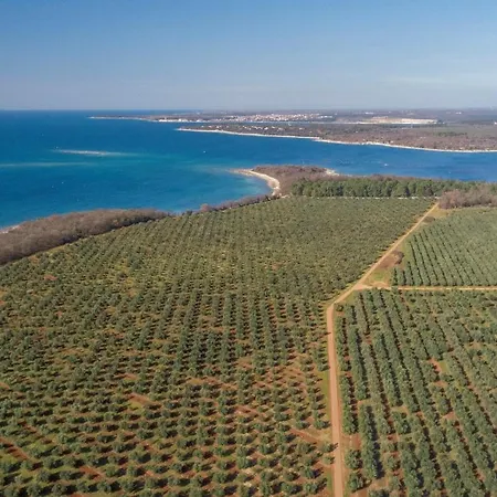 With Sea View Near דירה *